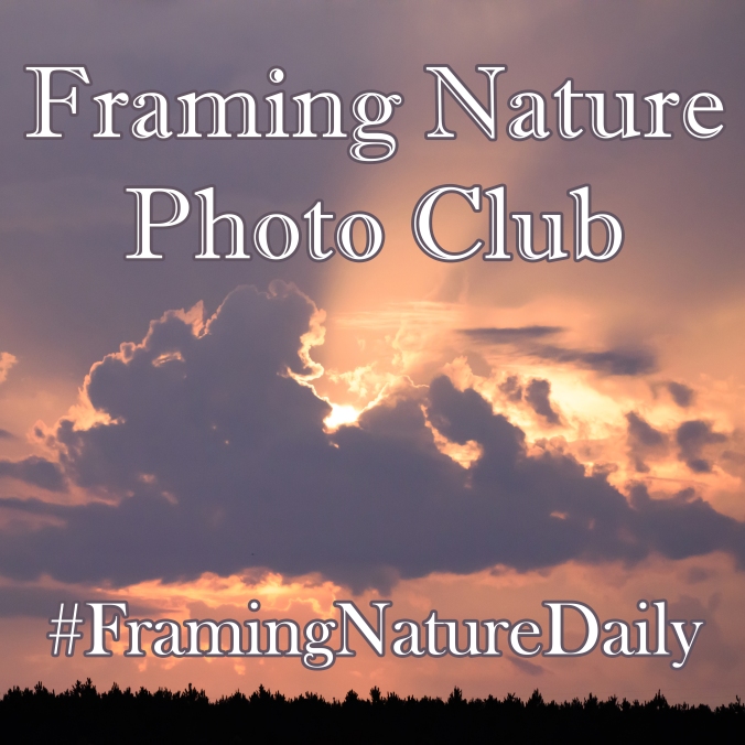 Framing Nature Photo Club